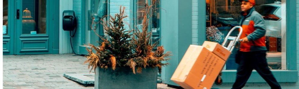 prijs webshop levering